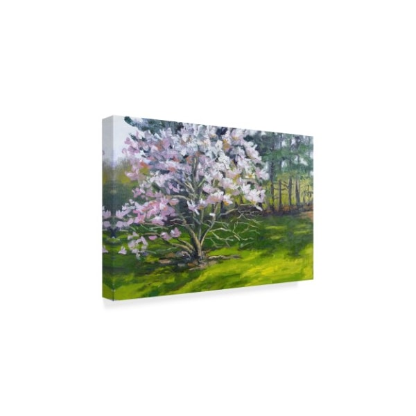 Rusty Frentner 'Magnolia' Canvas Art,30x47
